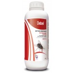 DEBEL LT.1