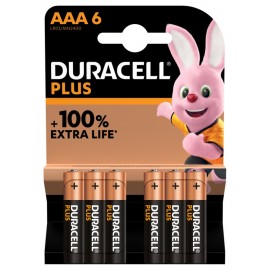 DURACELL PLUS 100 AAA MINISTILO B6 MN2400