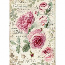 CONF. 1 FOGLIO CARTA RISO A4 APP. BOTANIC ENGLISH ROSES