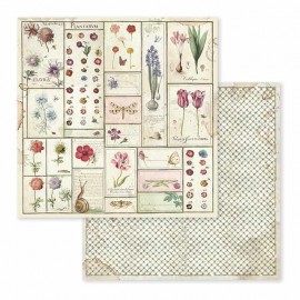 FOGLIO DOUBLE FACE SPRING BOTANIC HERBARIUM