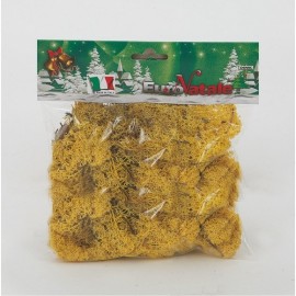 MUSCHIO LICHENE GIALLO IN BST GRANDE