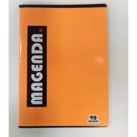 QUADERNO P.M. MAGENDA QUDRETTI 90gr 100pg R.VARIE