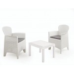 SET AKITA CON CUSCINI