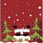 P-20 TOV.LI 3V 33X33 MOOD OF SANTAS