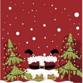 P-20 TOV.LI 3V 33X33 MOOD OF SANTAS