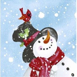 P-20 TOV.LI 3V 33X33 HAPPY SNOWMAN