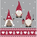 D-20 TOV.LI 3V 33X33 SCANDINAVIAN GNOME