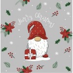 P-20 TOV.LI 3V 33X33 TOMTE WITH GIFT