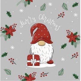 P-20 TOV.LI 3V 33X33 TOMTE WITH GIFT