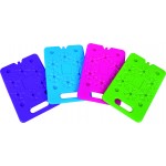 PANETTO GHIACCIO 300X200X15MM 600GR C/MANICO
