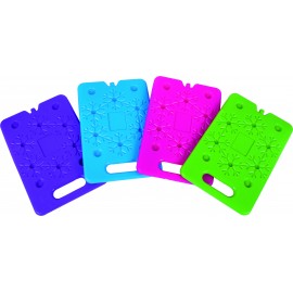 PANETTO GHIACCIO 300X200X15MM 600GR C/MANICO