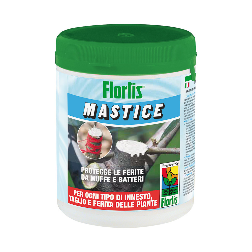 CURAPIANTE MASTMIX 500 GR