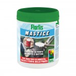 CURAPIANTE MASTMIX 500 GR