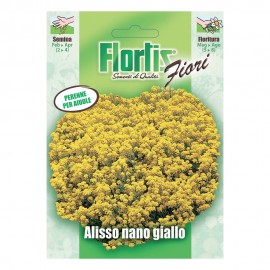 ALISSO NANO GIALLO