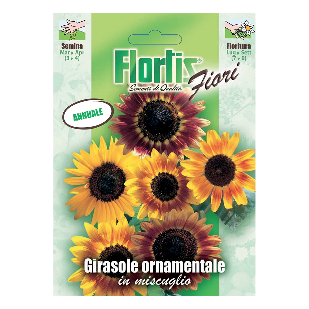 GIRASOLE ORNAMENTALE MIX
