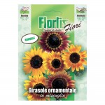 GIRASOLE ORNAMENTALE MIX