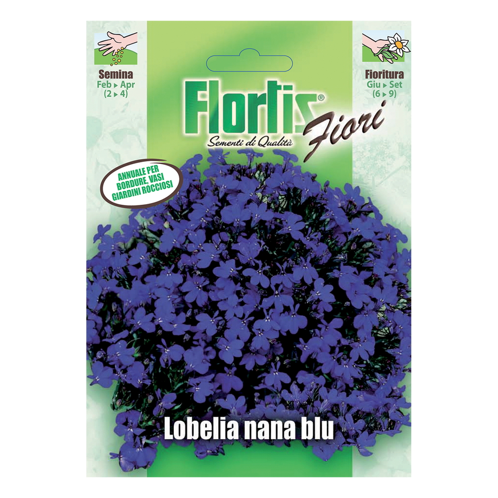 LOBELIA NANA BLU