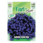 LOBELIA NANA BLU