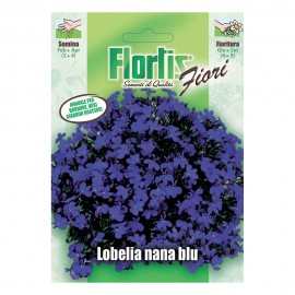 LOBELIA NANA BLU