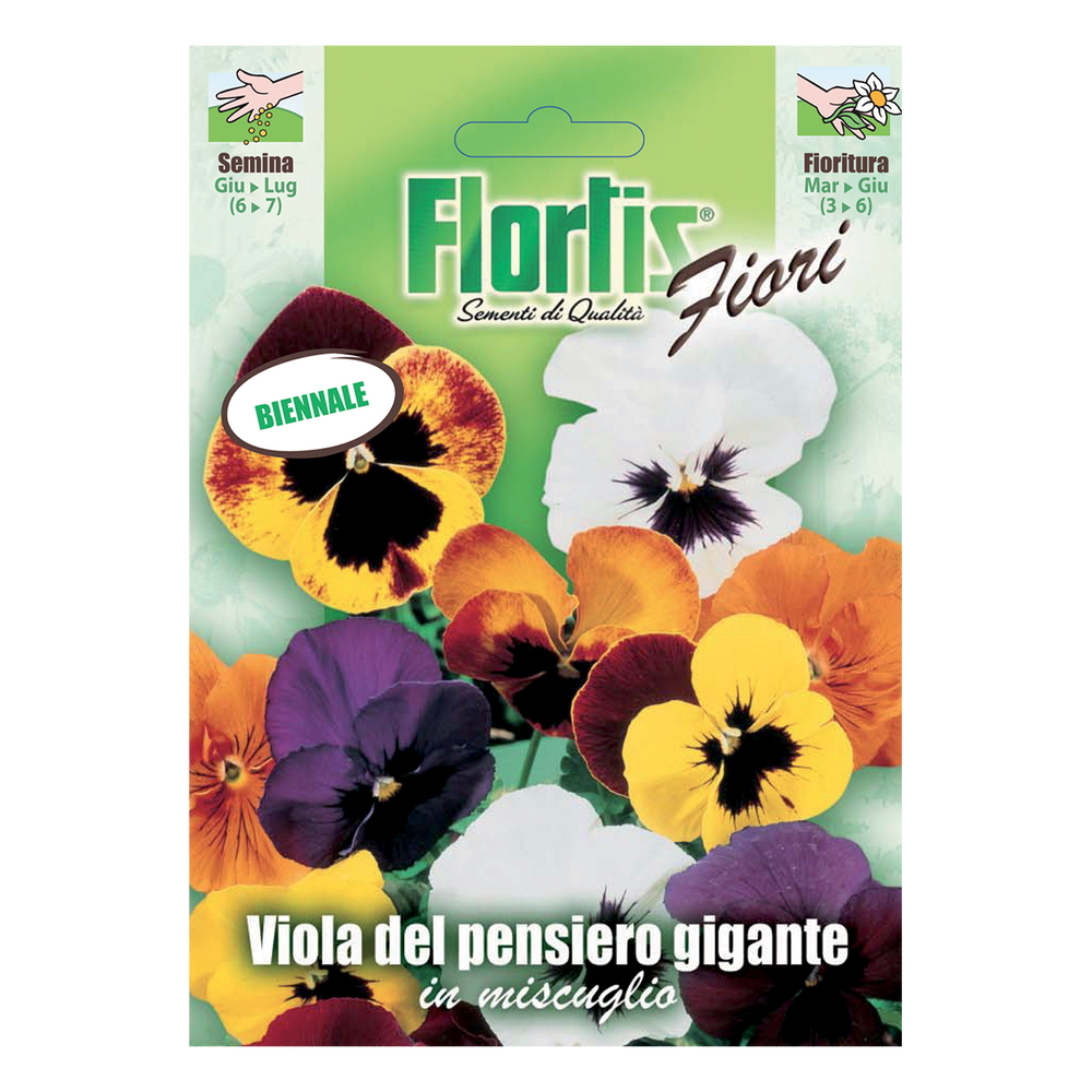 VIOLA PENSIERO GIGANTE MIX