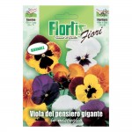 VIOLA PENSIERO GIGANTE MIX