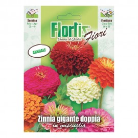 ZINNIA GIGANTE DOPPIA MIX