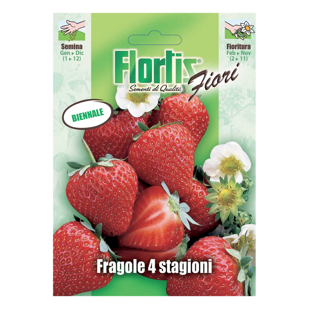 FRAGOLA 4 STAGIONI