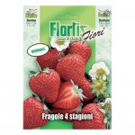 FRAGOLA 4 STAGIONI