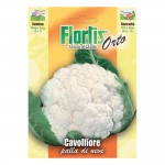 CAVOLFIORE PALLA DI NEVE