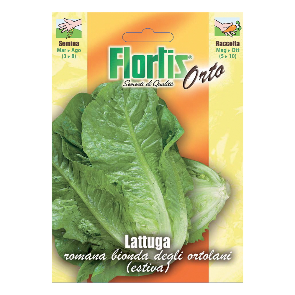 LATTUGA BIONDA ORTOLANI