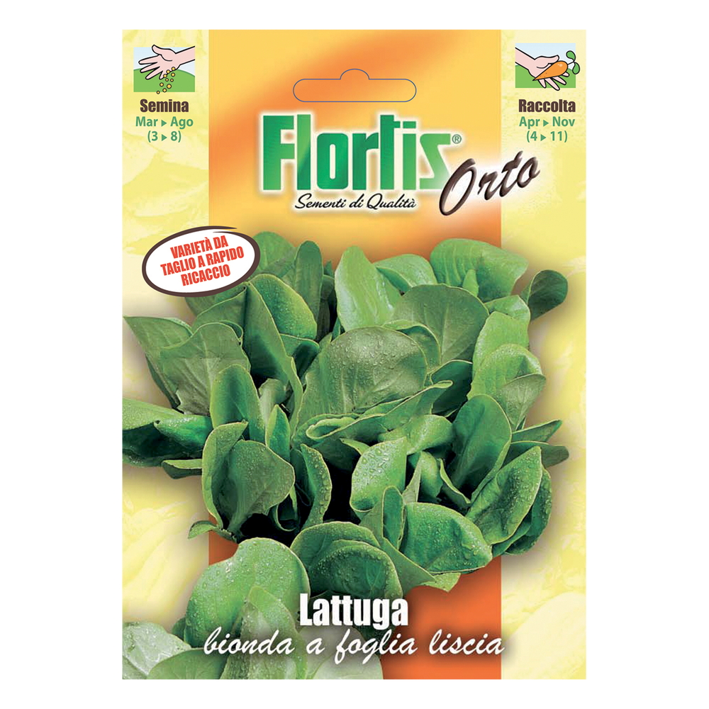 LATTUGA BIONDA FOGLIA LISCIA