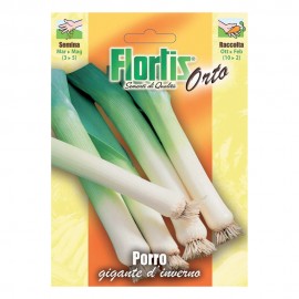 PORRO GIGANTE D'INVERNO