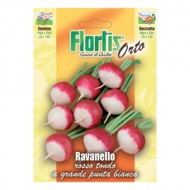 RAVANELLO ROSSO TONDO