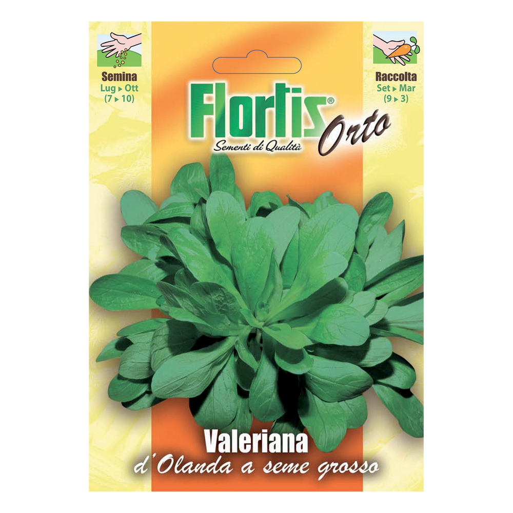 VALERIANA D'OLANDA
