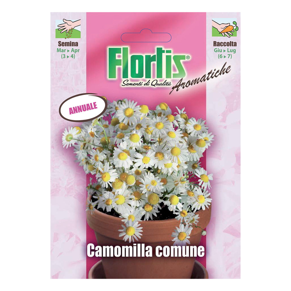 CAMOMILLA COMUNE