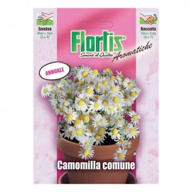 CAMOMILLA COMUNE