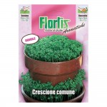 CRESCIONE COMUNE