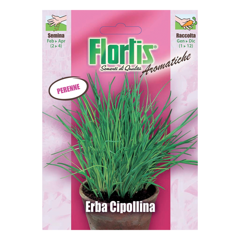 ERBA CIPOLLINA