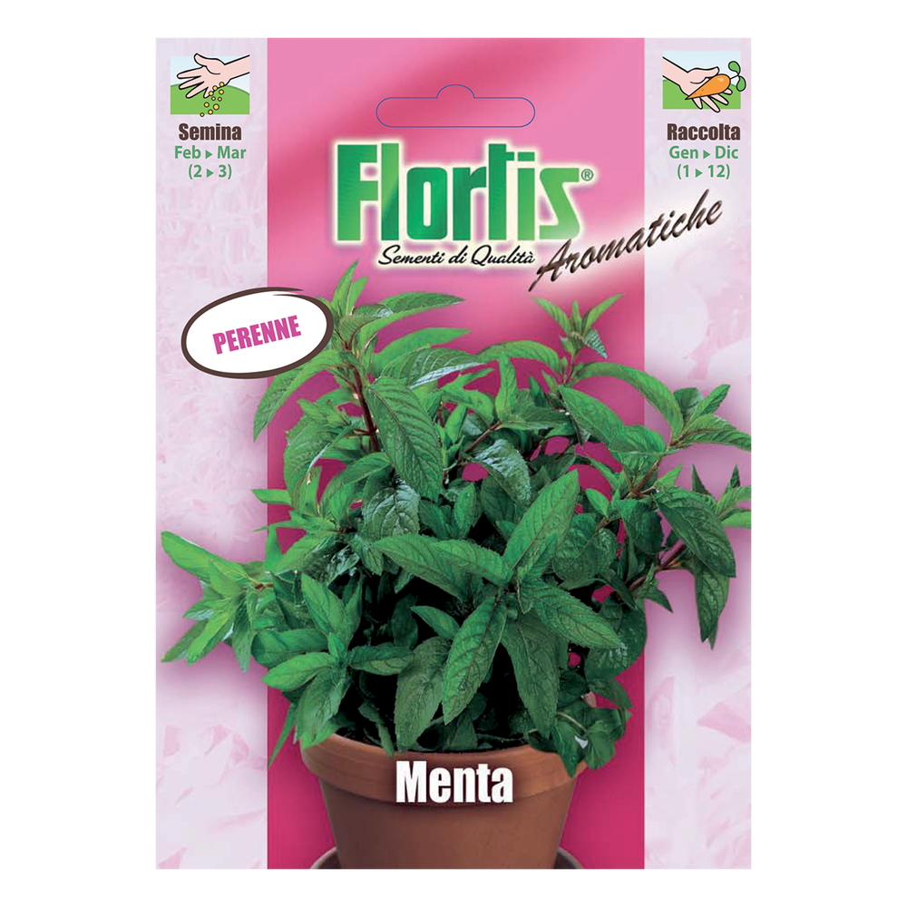 MENTA
