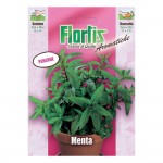 MENTA
