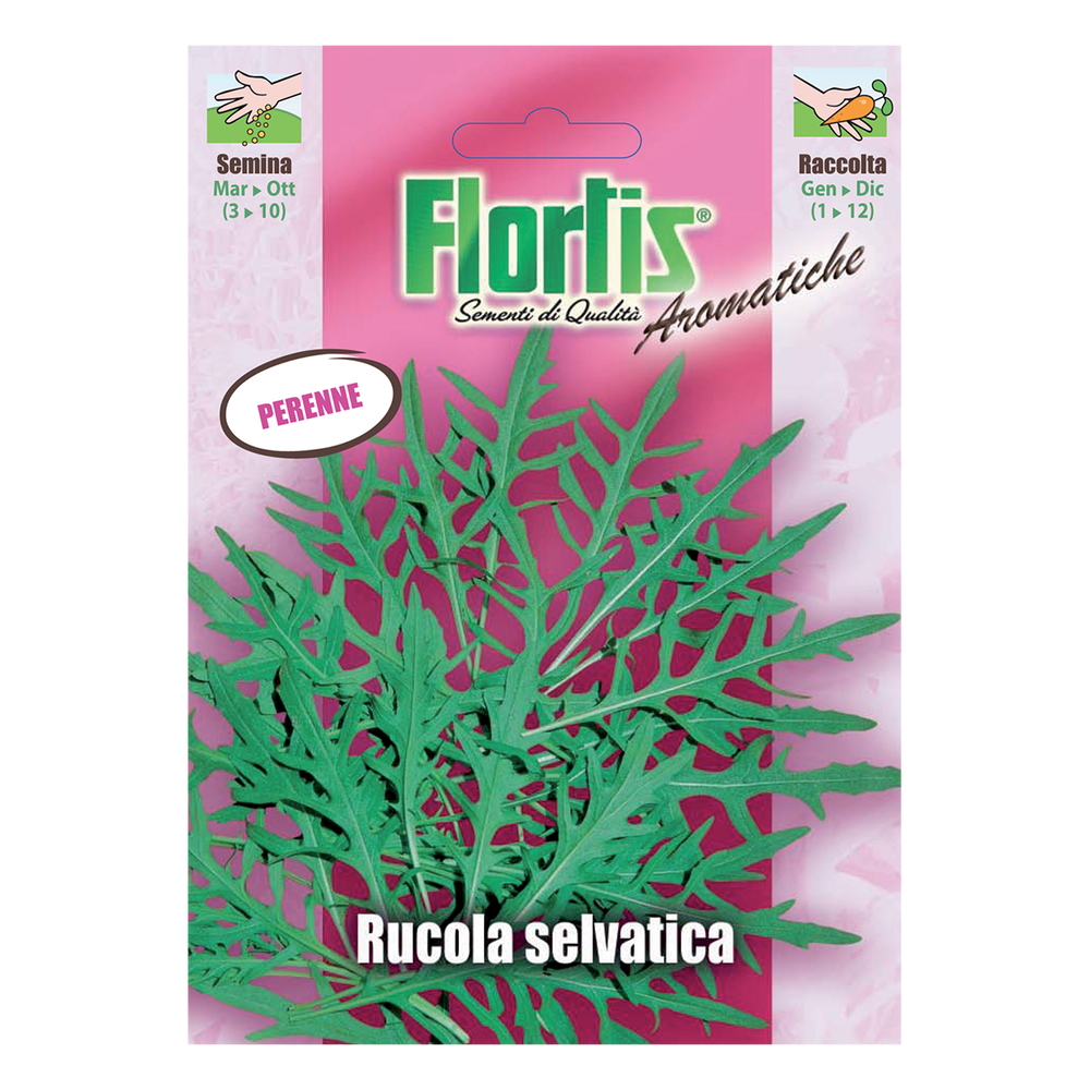 RUCOLA SELVATICA
