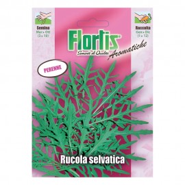 RUCOLA SELVATICA
