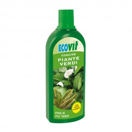 ECOVIT PIANTE VERDI LI 1000 G