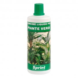 SPRINT P.VERDI LI 1000 G