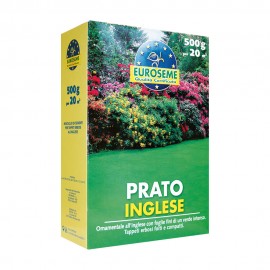 EUROSEME INGLESE 500 G