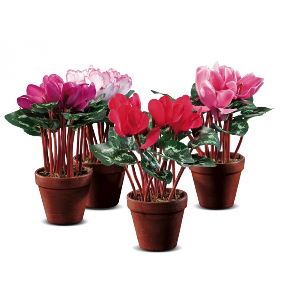 VASO CICLAMINI A4C D10,5XH25,5 VASO CICLAMINI A4C D10,5XH25,5