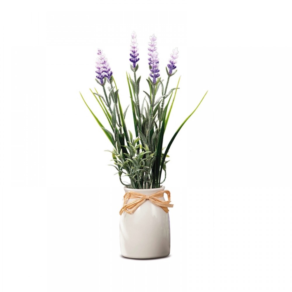 VASO C/LAVANDA DIAM6XH28 VASO C/LAVANDA DIAM6XH28