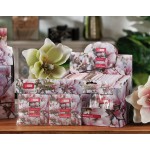 SET 2 BUSTE PROFUMATE EXPO 12 ASS 6 FR