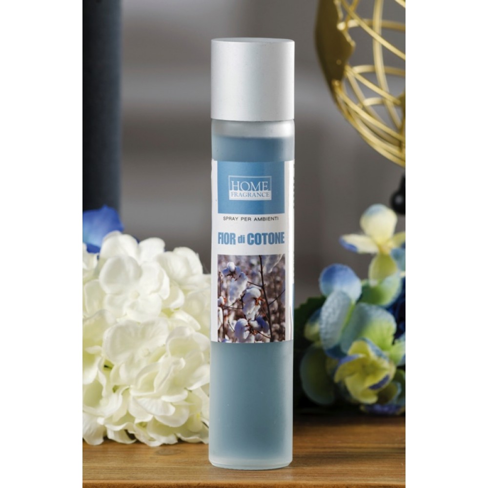 SPRAY PER AMBIENTI ASS12FR 100ML