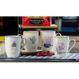 TAZZA NEW BONE CHINA A4DEC D8XH10,5